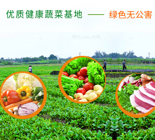 龍華網站設計_龍華做網站公司_深圳龍華做蔬菜配送類的網站哪家好
